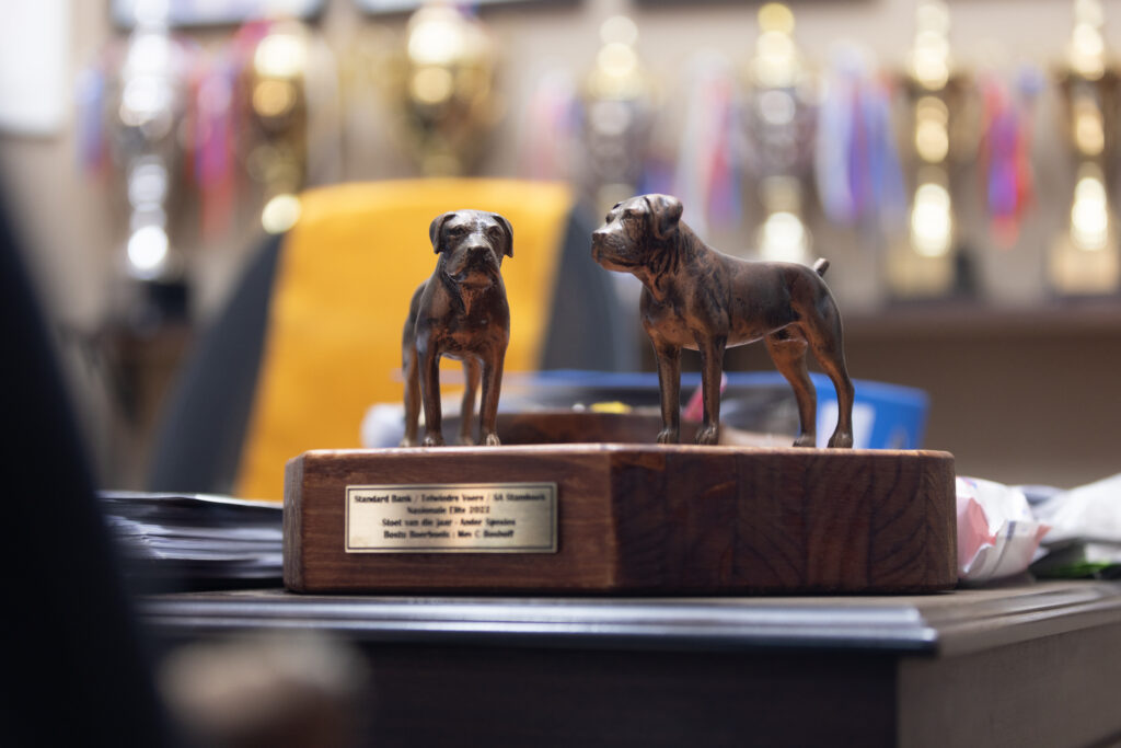 SA Stamboek Award